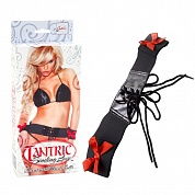  Tantric Binding Love Corset with Wrist Cuffs 2702-15BXSE