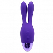  indulgence rechargeable dream bunny purple 174215purhw  -